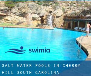 Salt Water Pools in Cherry Hill (South Carolina)