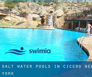 Salt Water Pools in Cicero (New York)