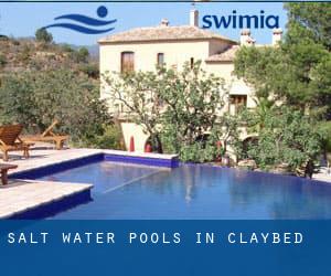 Salt Water Pools in Claybed