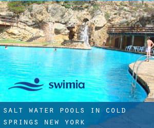 Salt Water Pools in Cold Springs (New York)