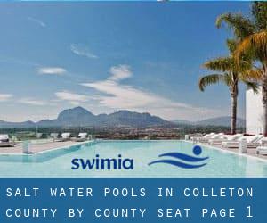 Salt Water Pools in Colleton County by County Seat - page 1