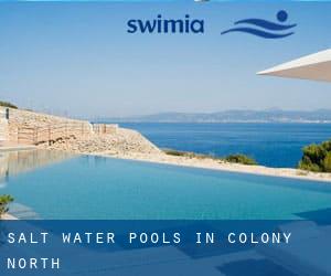 Salt Water Pools in Colony North