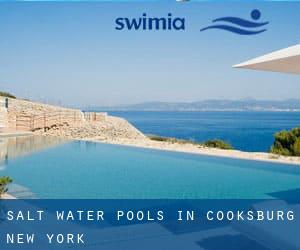 Salt Water Pools in Cooksburg (New York)