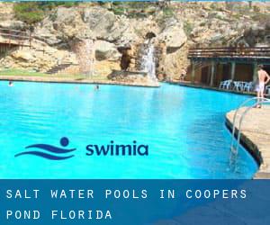 Salt Water Pools in Coopers Pond (Florida)