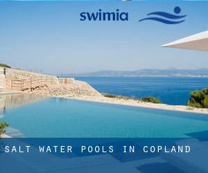 Salt Water Pools in Copland