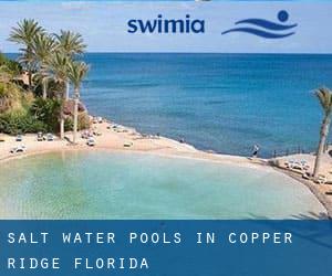 Salt Water Pools in Copper Ridge (Florida)