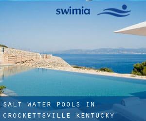 Salt Water Pools in Crockettsville (Kentucky)