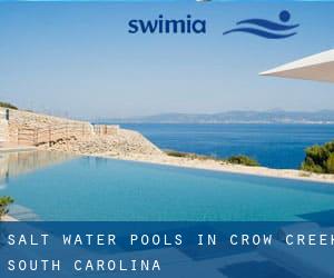 Salt Water Pools in Crow Creek (South Carolina)