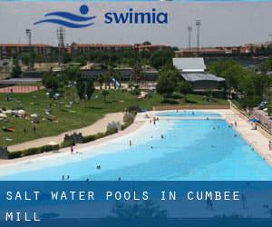 Salt Water Pools in Cumbee Mill