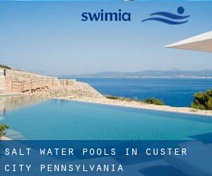 Salt Water Pools in Custer City (Pennsylvania)