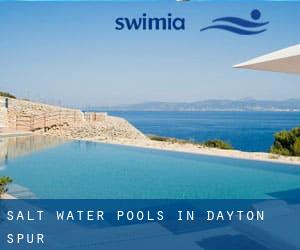 Salt Water Pools in Dayton Spur