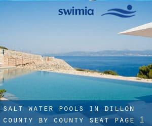 Salt Water Pools in Dillon County by County Seat - page 1