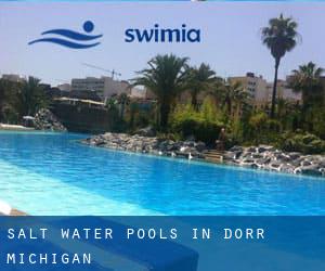 Salt Water Pools in Dorr (Michigan)