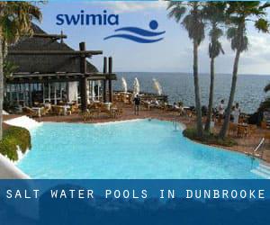 Salt Water Pools in Dunbrooke