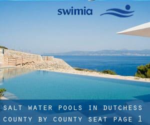 Salt Water Pools in Dutchess County by County Seat - page 1