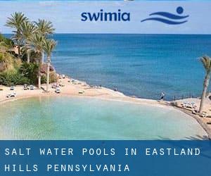 Salt Water Pools in Eastland Hills (Pennsylvania)