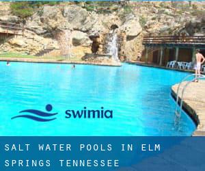 Salt Water Pools in Elm Springs (Tennessee)