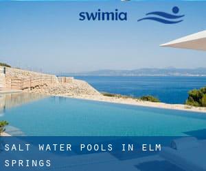 Salt Water Pools in Elm Springs