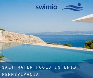 Salt Water Pools in Enid (Pennsylvania)