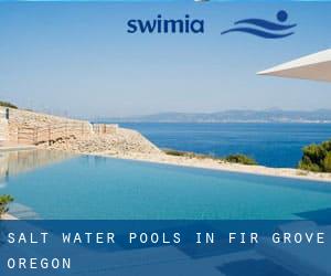 Salt Water Pools in Fir Grove (Oregon)