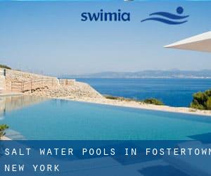 Salt Water Pools in Fostertown (New York)