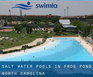 Salt Water Pools in Frog Pond (North Carolina)