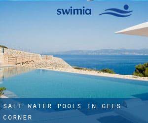 Salt Water Pools in Gees Corner