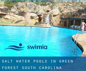 Salt Water Pools in Green Forest (South Carolina)