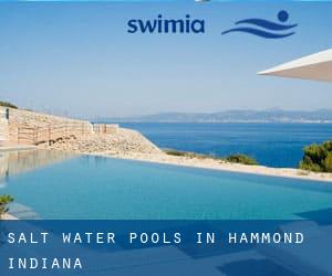 Salt Water Pools in Hammond (Indiana)