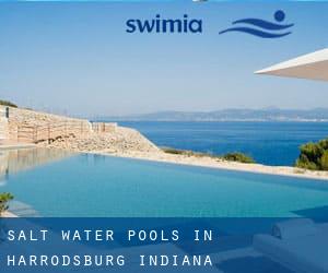 Salt Water Pools in Harrodsburg (Indiana)