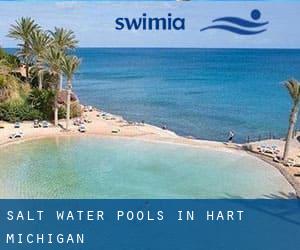 Salt Water Pools in Hart (Michigan)