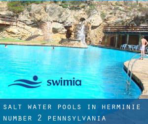 Salt Water Pools in Herminie Number 2 (Pennsylvania)