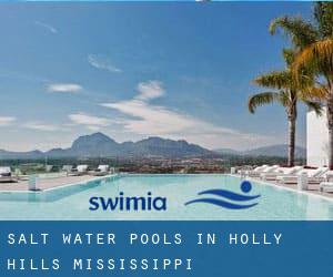 Salt Water Pools in Holly Hills (Mississippi)