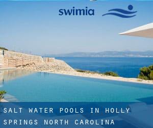 Salt Water Pools in Holly Springs (North Carolina)