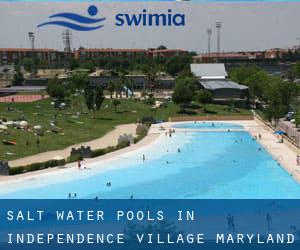 Salt Water Pools in Independence Village (Maryland)