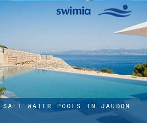 Salt Water Pools in Jaudon