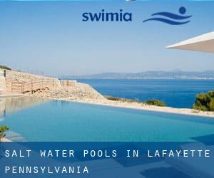 Salt Water Pools in Lafayette (Pennsylvania)