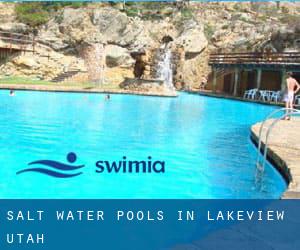 Salt Water Pools in Lakeview (Utah)