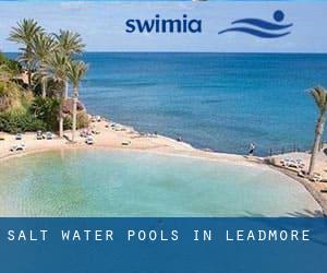 Salt Water Pools in Leadmore