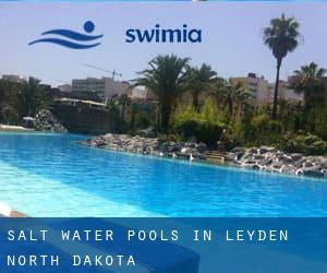 Salt Water Pools in Leyden (North Dakota)