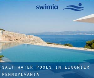 Salt Water Pools in Ligonier (Pennsylvania)