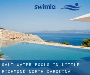 Salt Water Pools in Little Richmond (North Carolina)