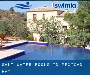 Salt Water Pools in Mexican Hat