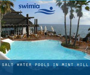 Salt Water Pools in Mint Hill