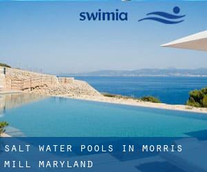 Salt Water Pools in Morris Mill (Maryland)