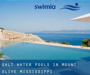 Salt Water Pools in Mount Olive (Mississippi)