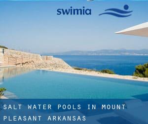 Salt Water Pools in Mount Pleasant (Arkansas)