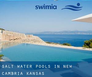 Salt Water Pools in New Cambria (Kansas)