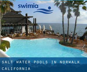 Salt Water Pools in Norwalk (California)