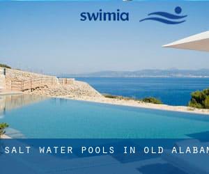 Salt Water Pools in Old Alabam